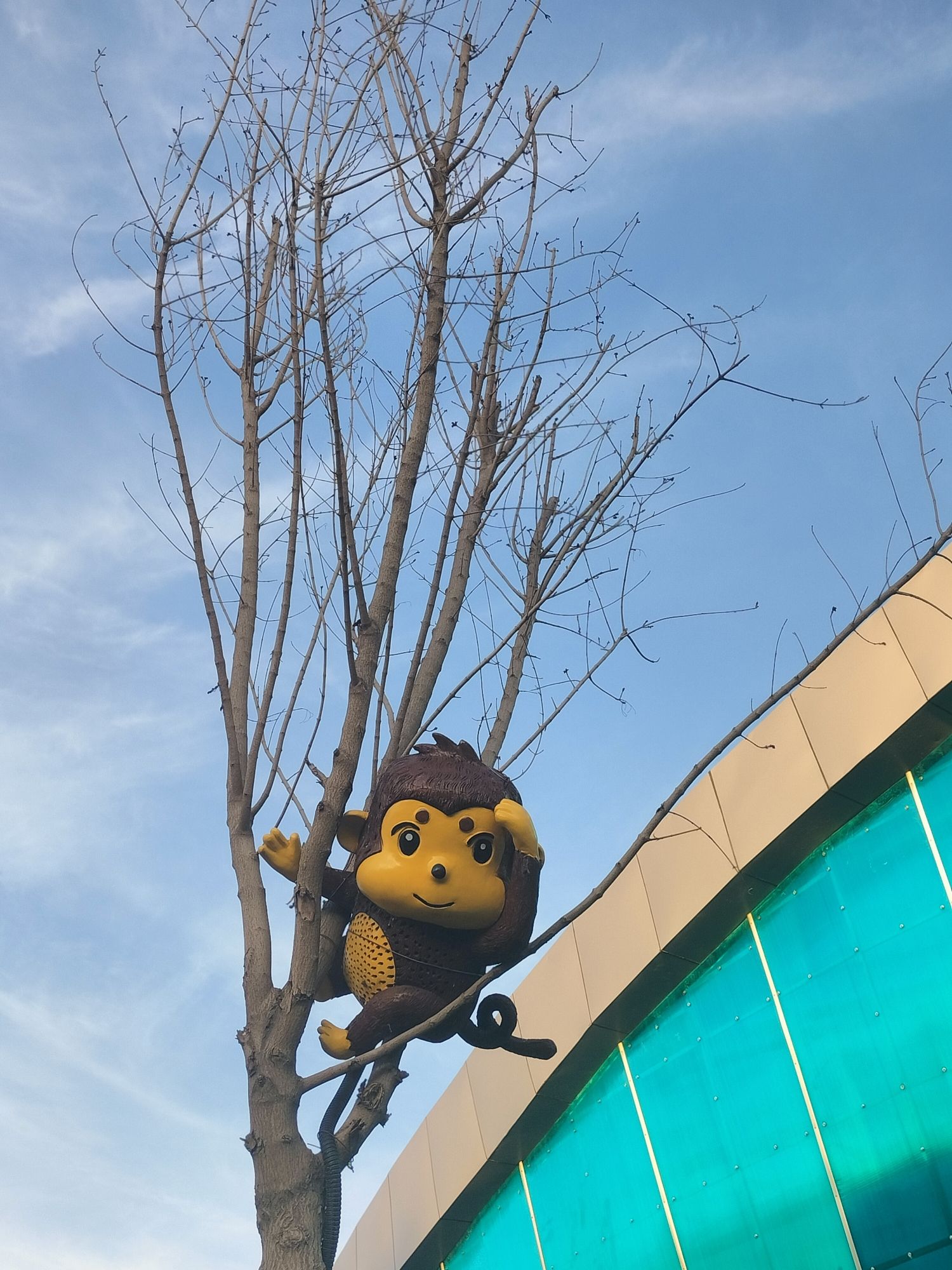 深州东山植物园旅行图片