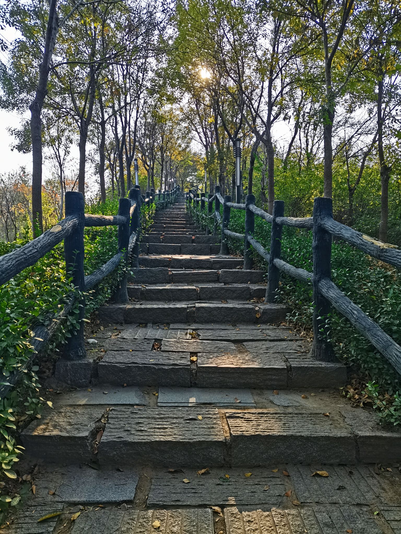 深州东山植物园旅行图片
