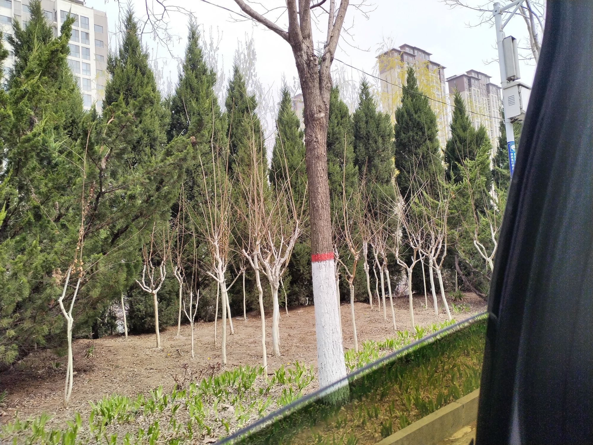 赵树理公园