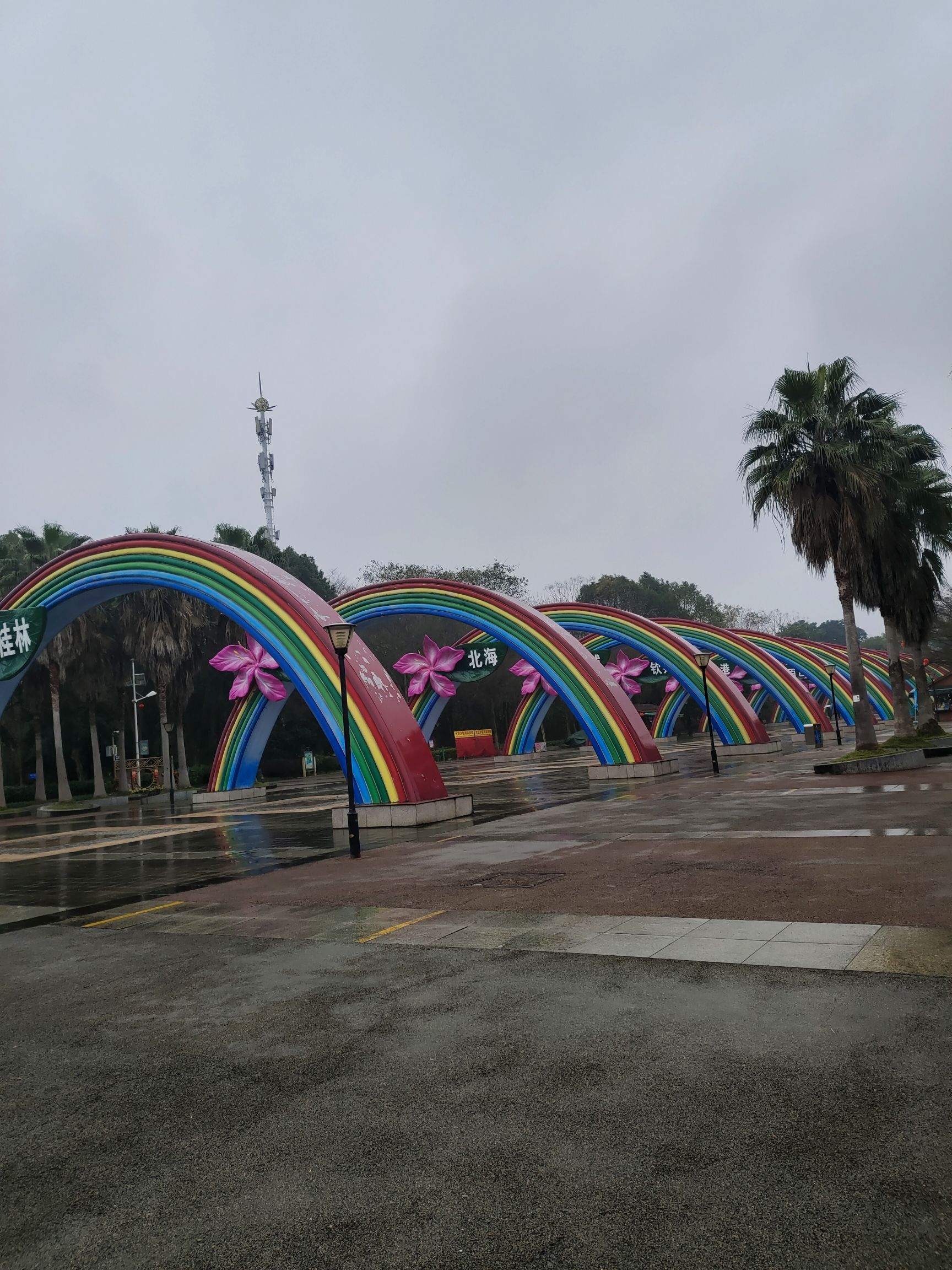 柳州园博园景区旅行图片