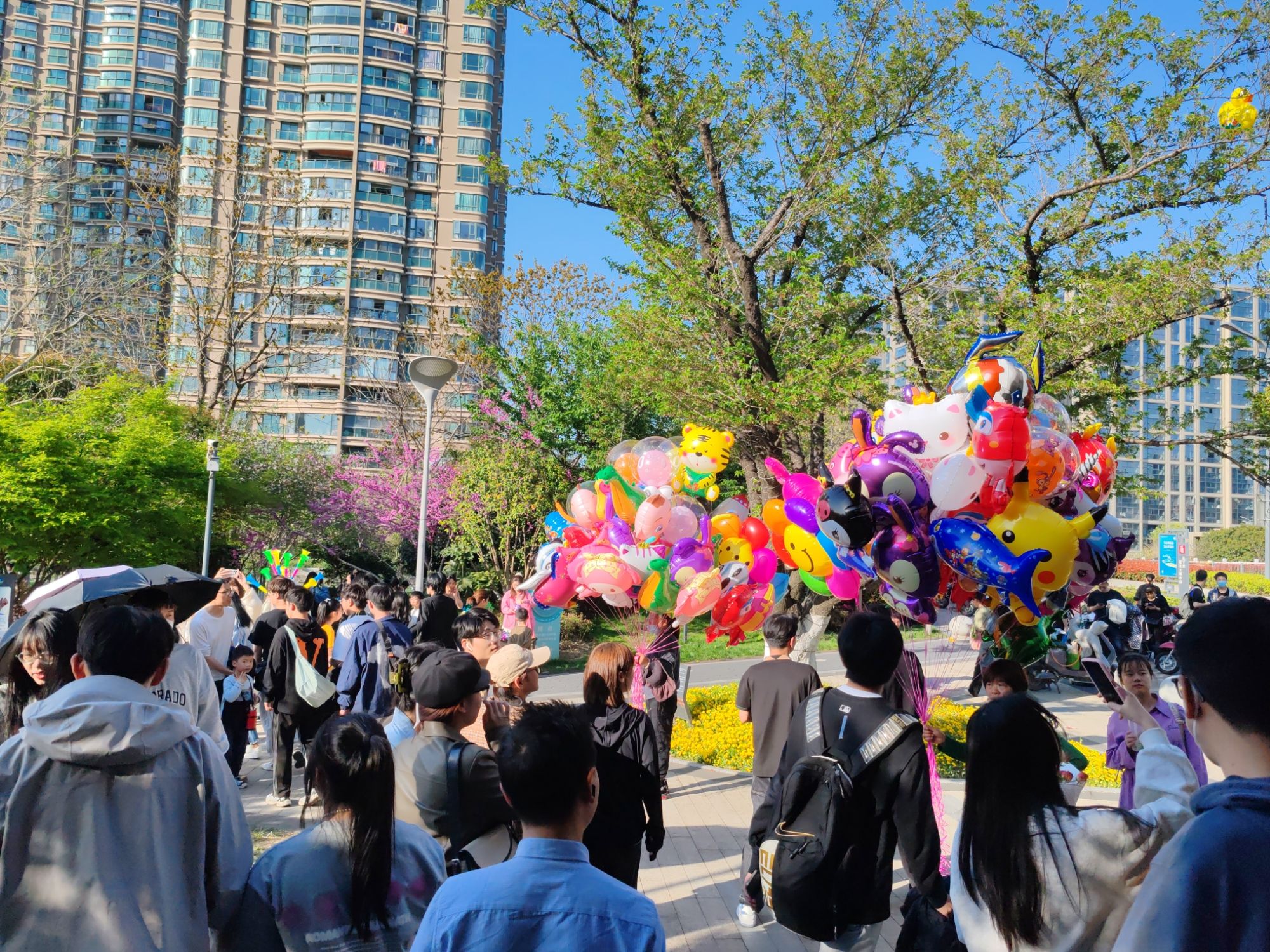 樱花公园