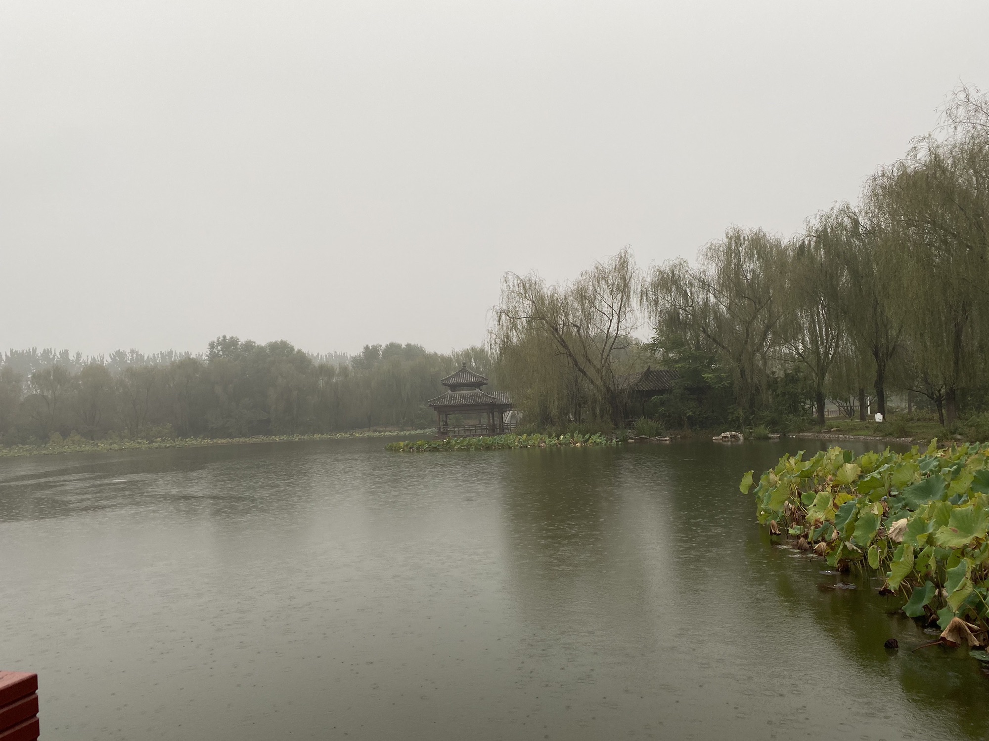 津北森林公园旅行图片