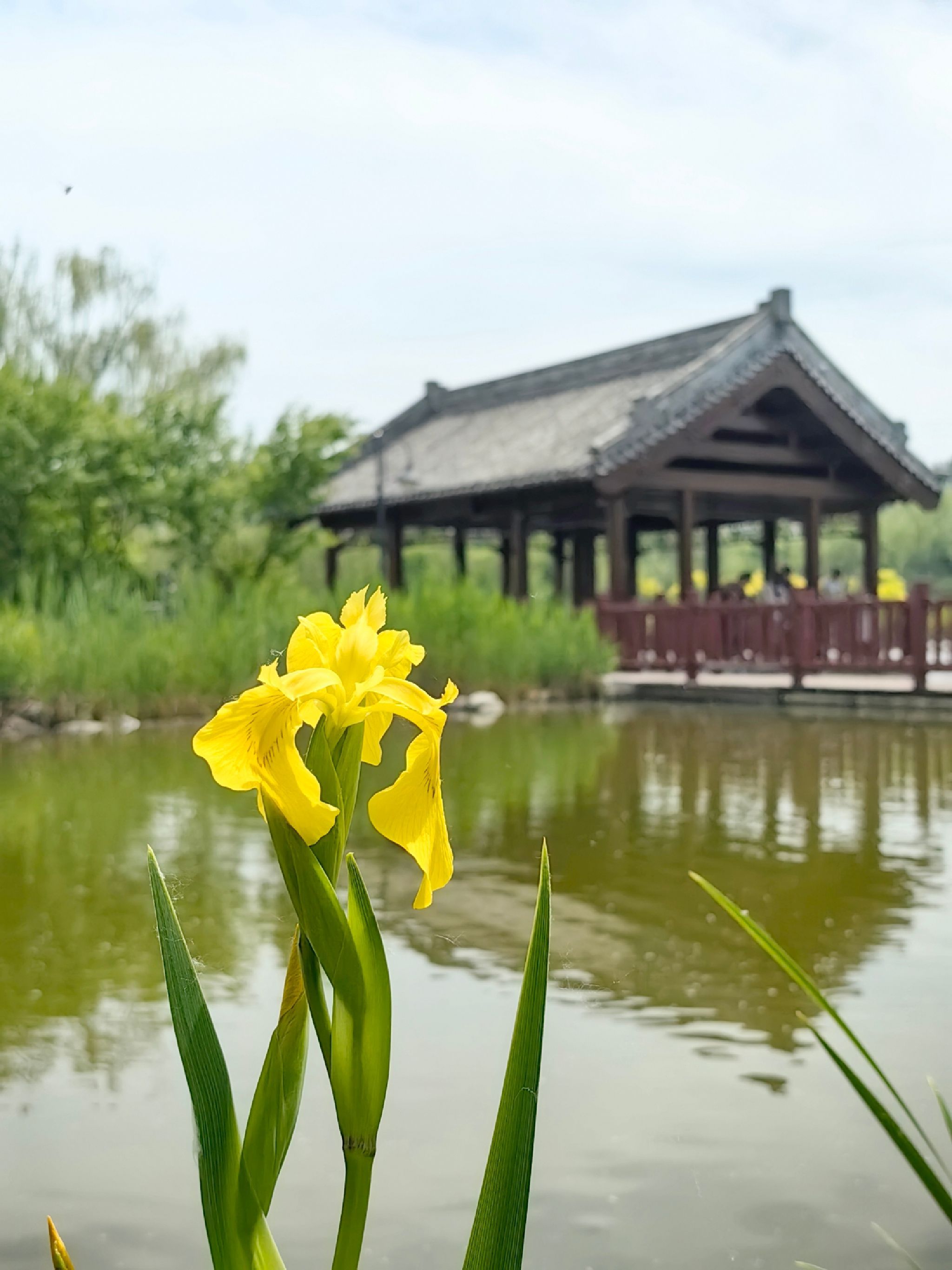 津北森林公园旅行图片