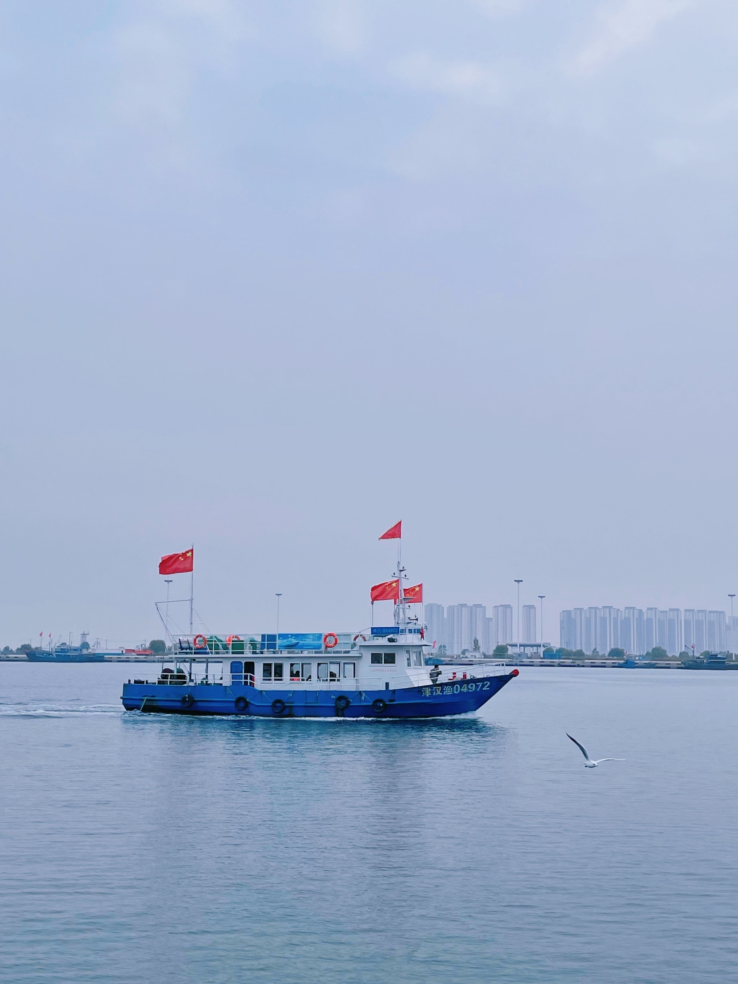 滨海鲤鱼门旅行图片