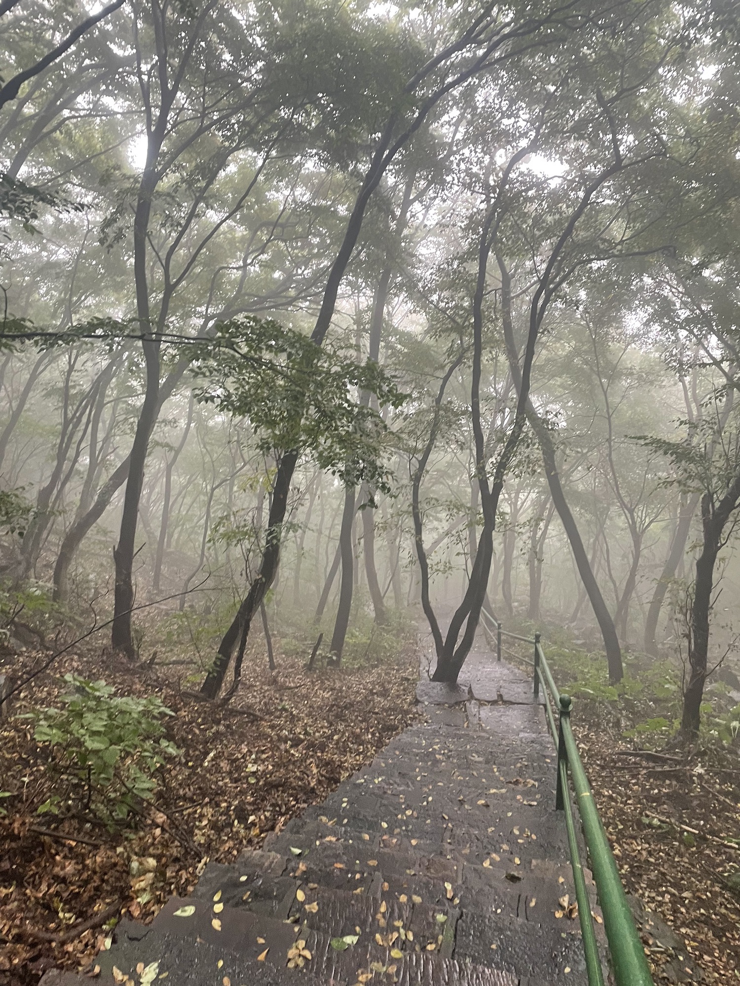 赞皇棋盘山旅行图片