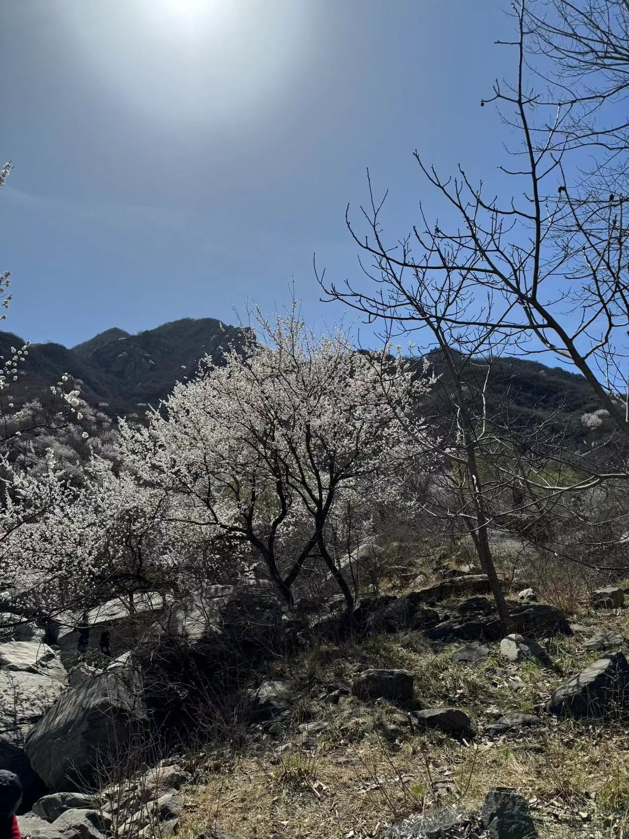 赞皇棋盘山旅行图片