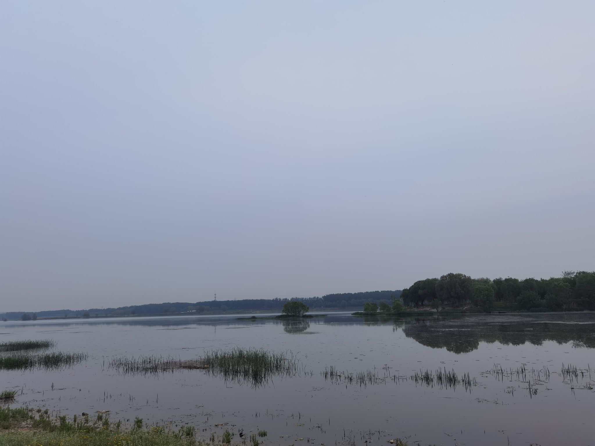 翠明湖