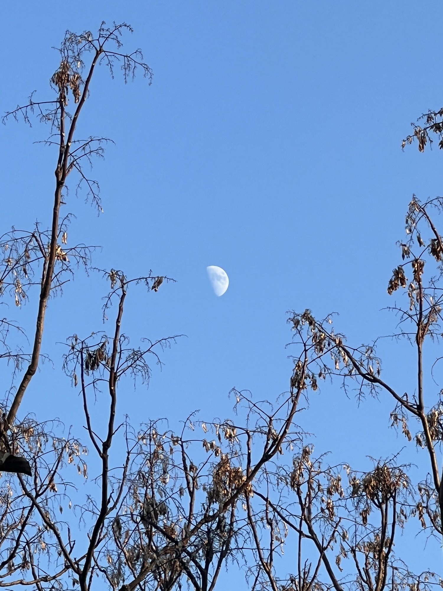 舜耕山大通湿地公园