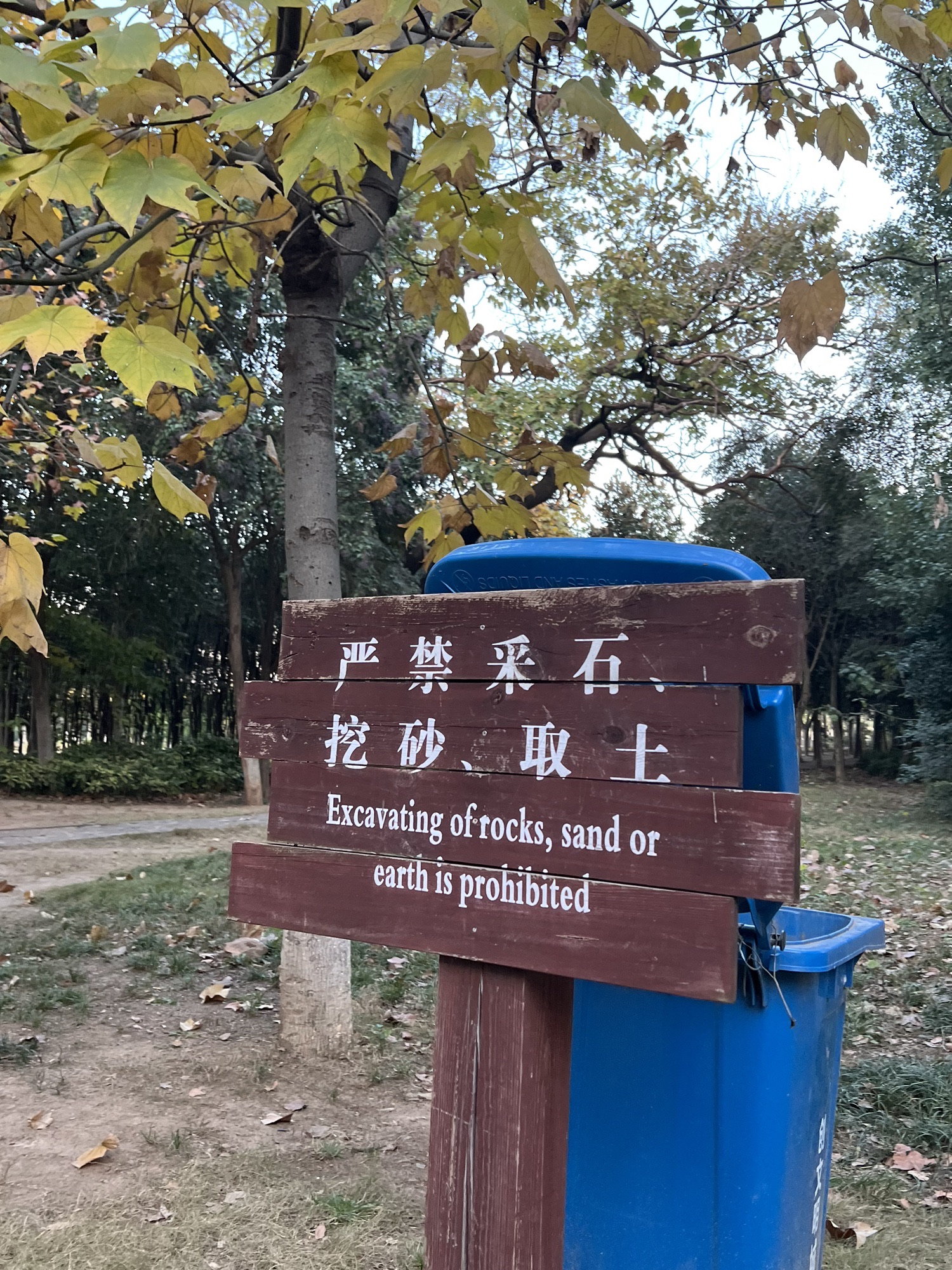 舜耕山大通湿地公园旅行图片