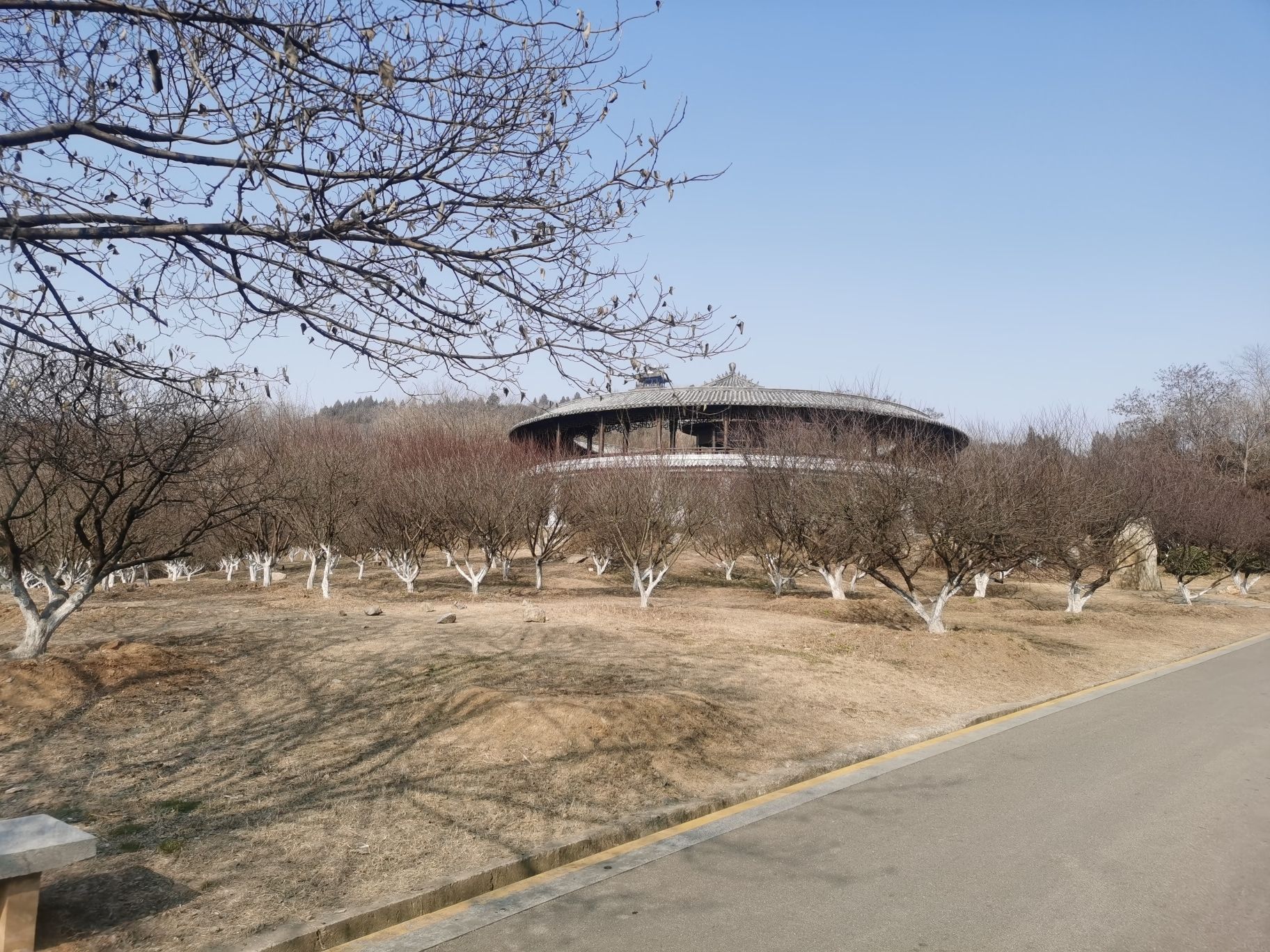 舜耕山大通湿地公园旅行图片