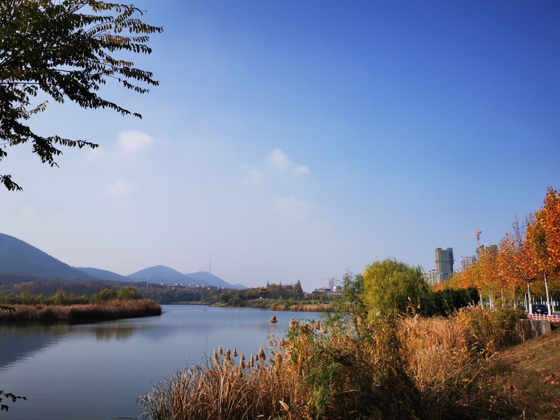 舜耕山大通湿地公园旅行图片