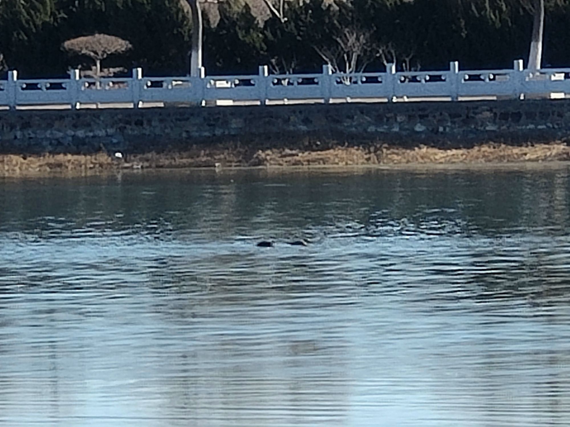 望海山公园
