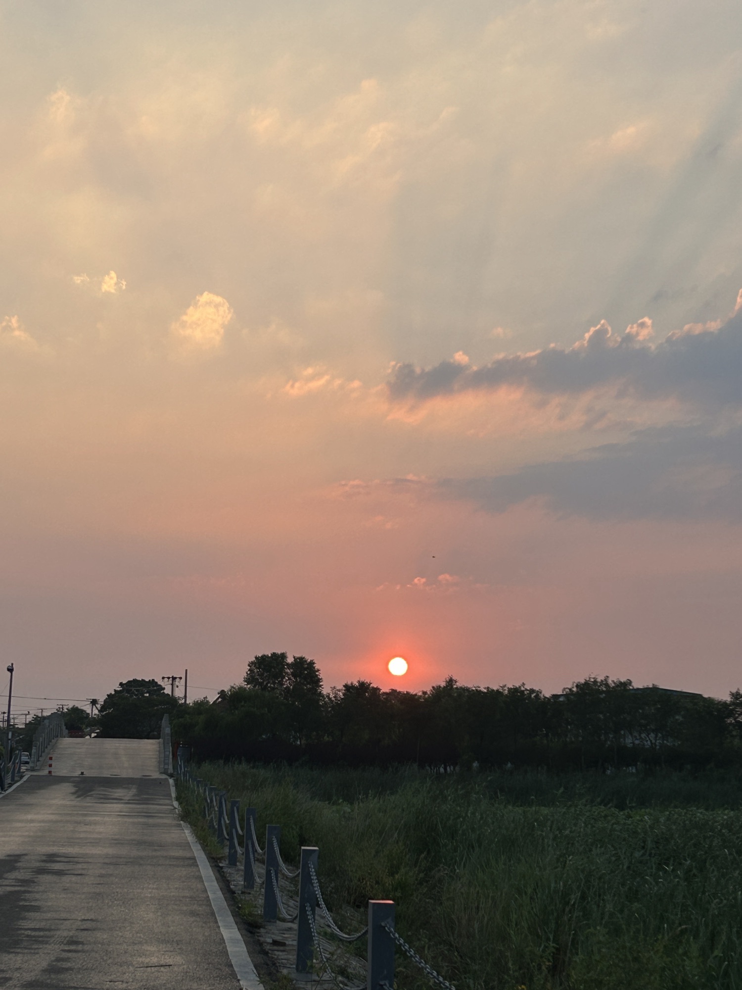禹王国家湿地公园旅行图片