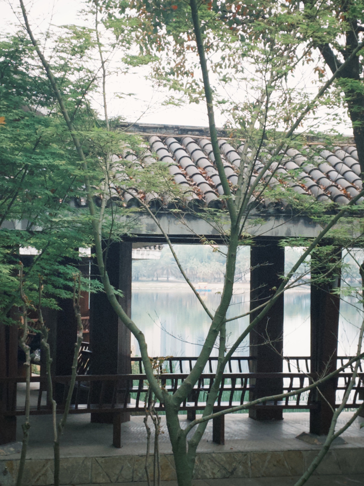 丁玲公园