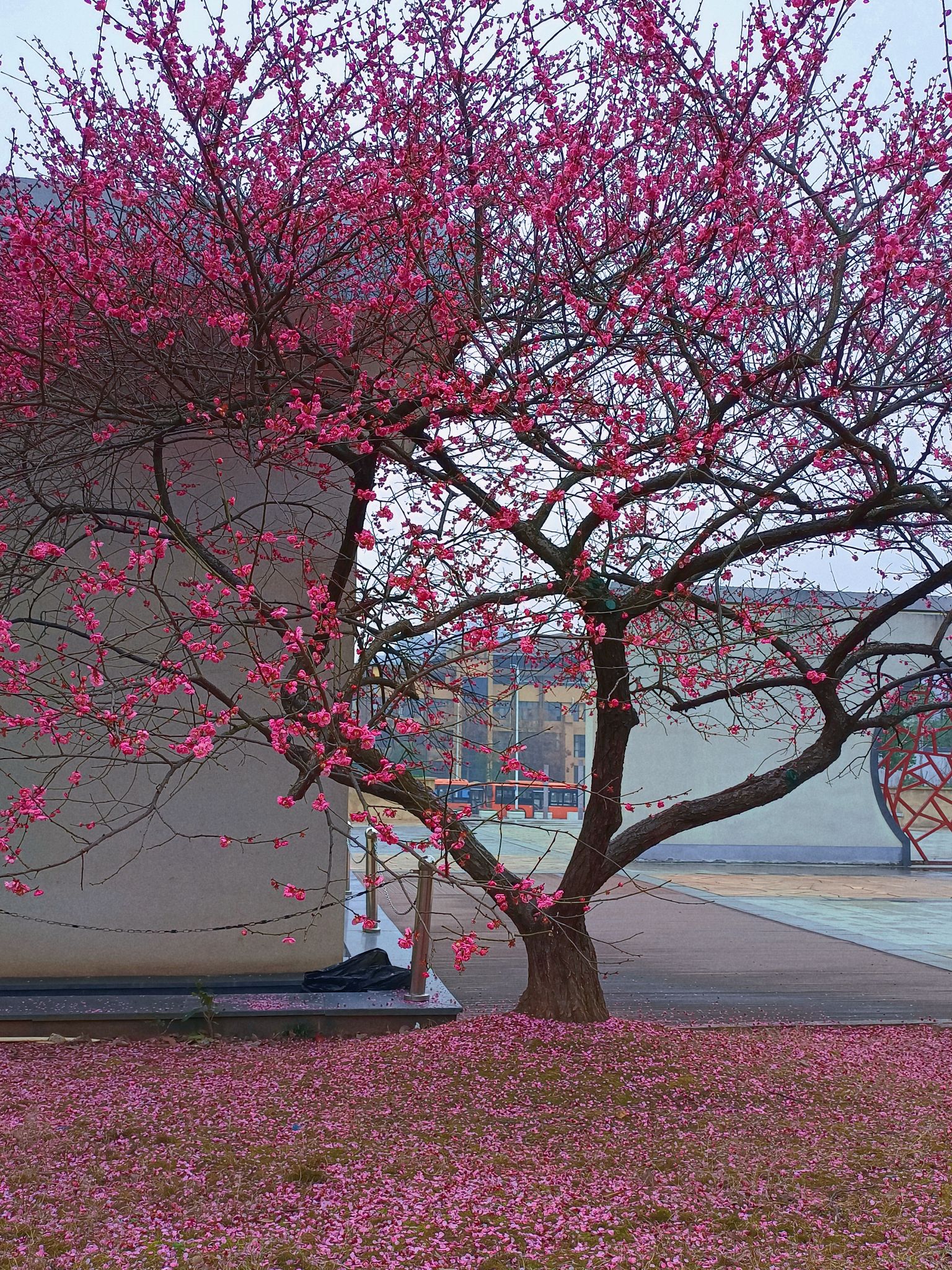 丁玲公园旅行图片