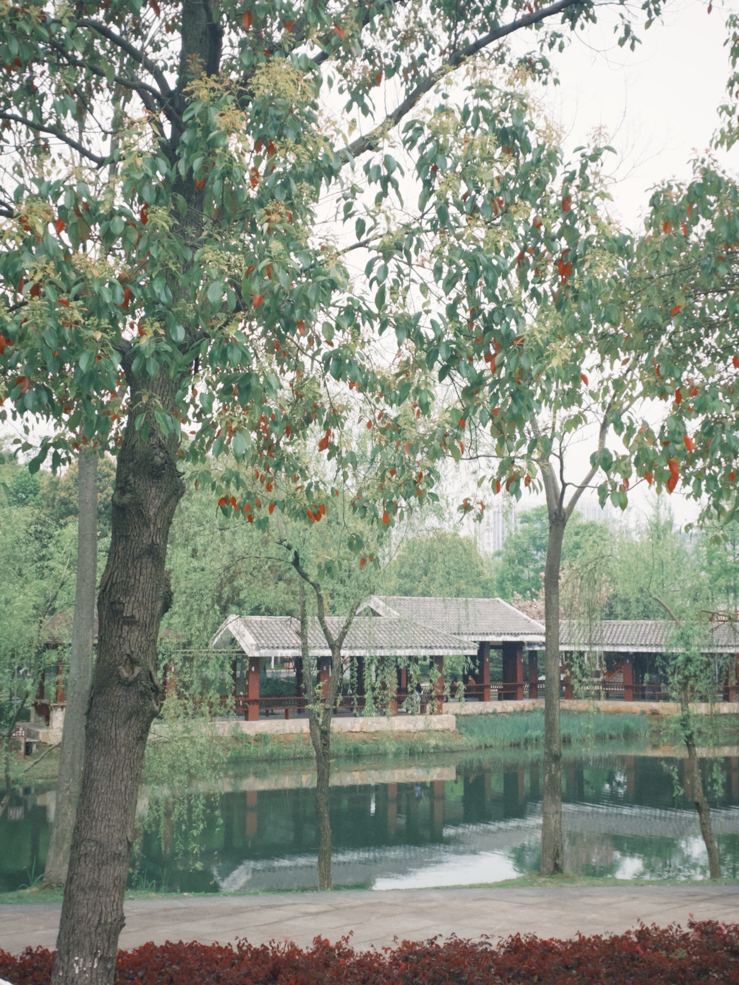 丁玲公园旅行图片
