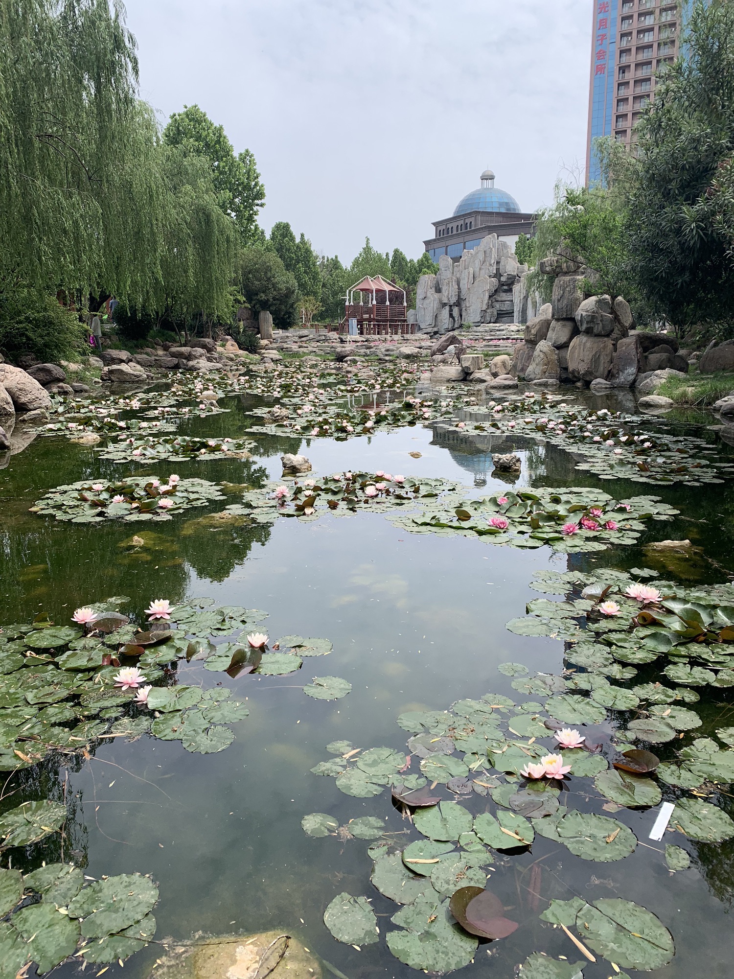 左照公园