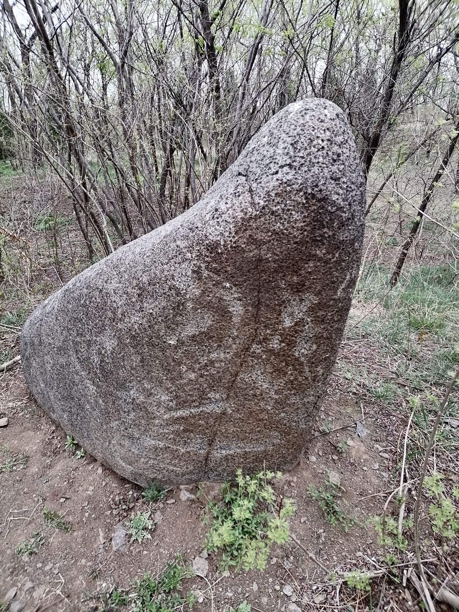 崇山石祖林风景区