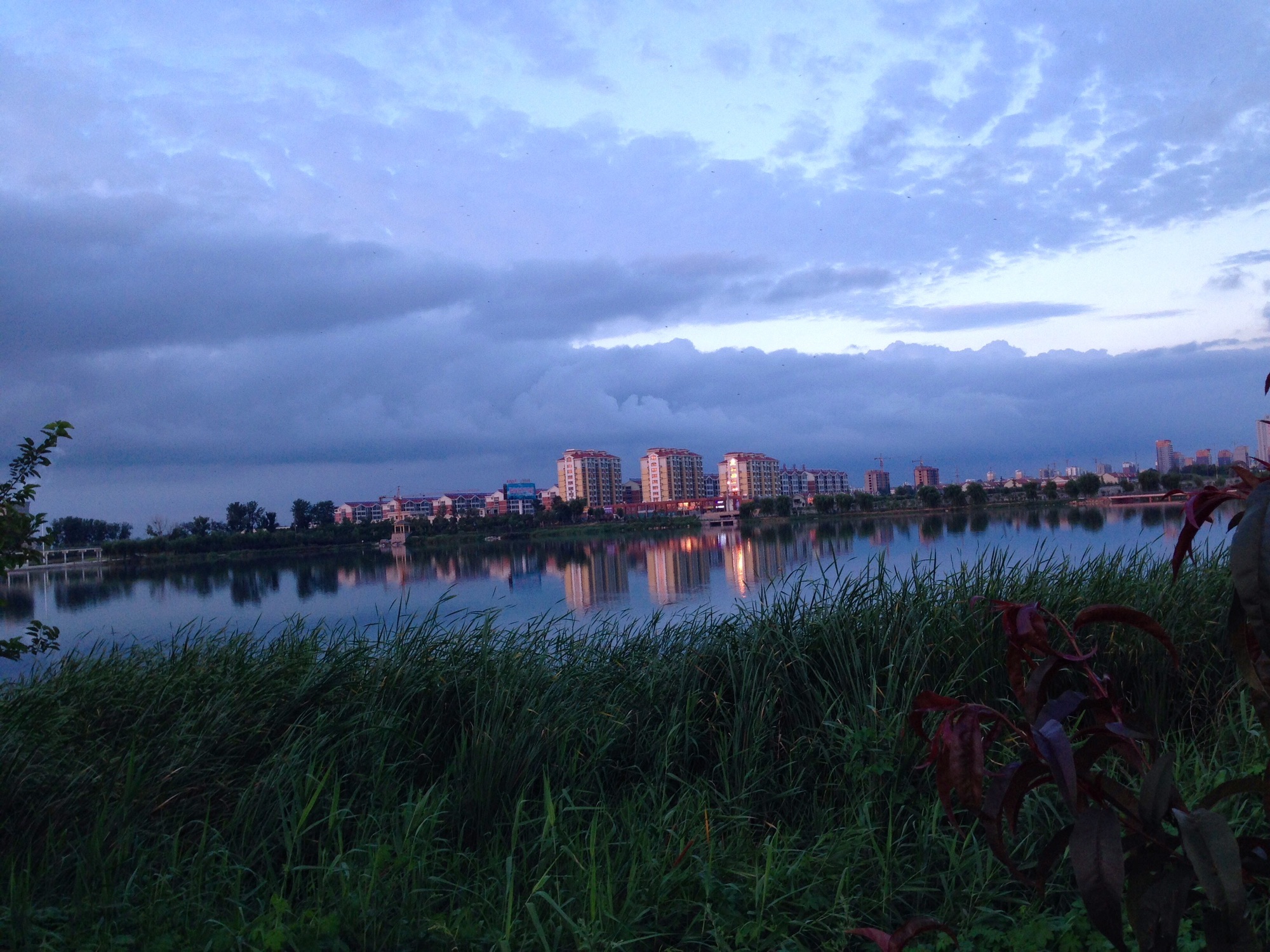 莱州市河套湿地公园
