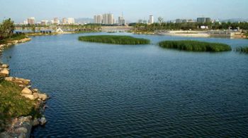 莱州市河套湿地公园旅行图片