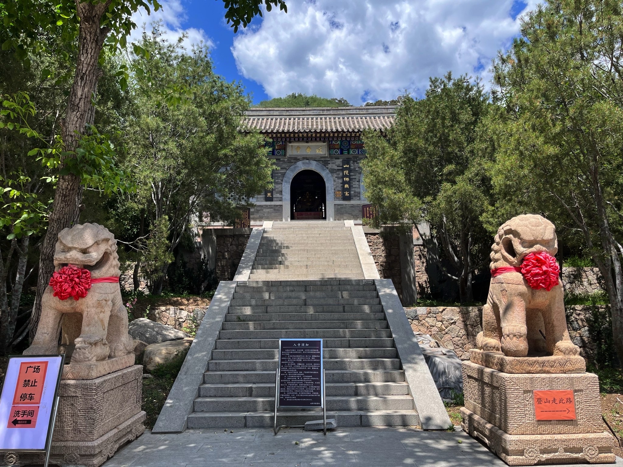 延寿寺盘龙松风景区旅行图片