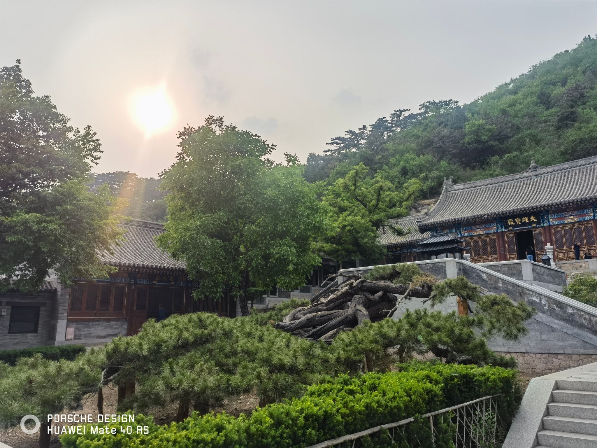 延寿寺盘龙松风景区旅行图片