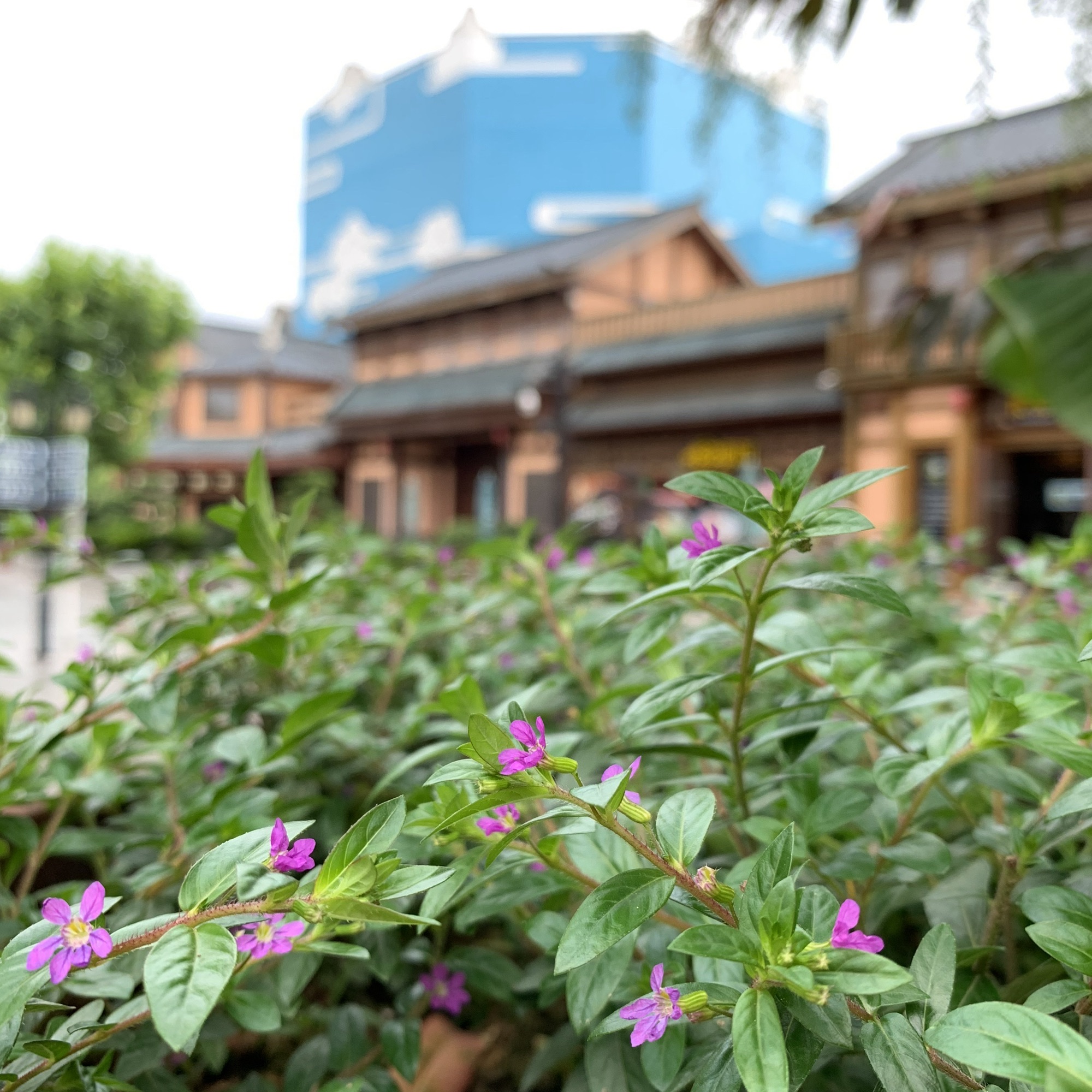 株洲方特旅游区