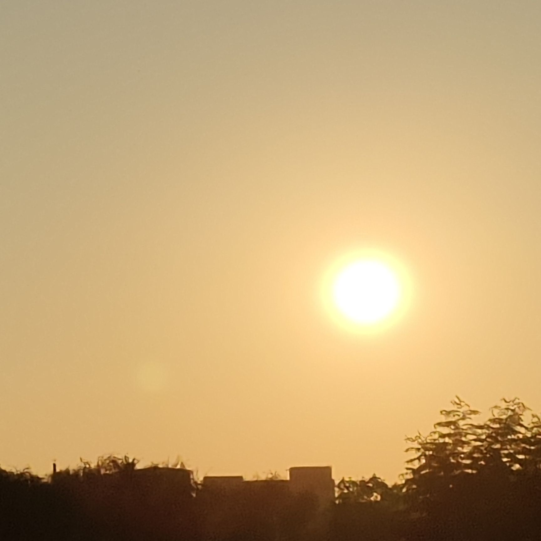 咸平公园