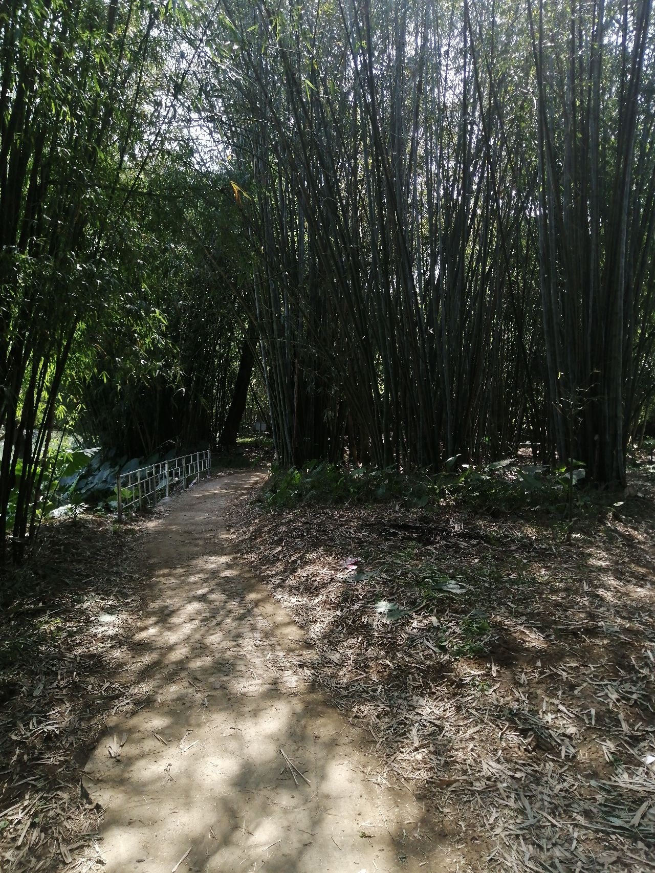 鱼水旅游风景区