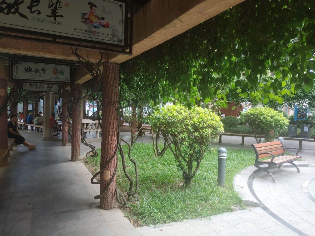 草围公园旅行图片