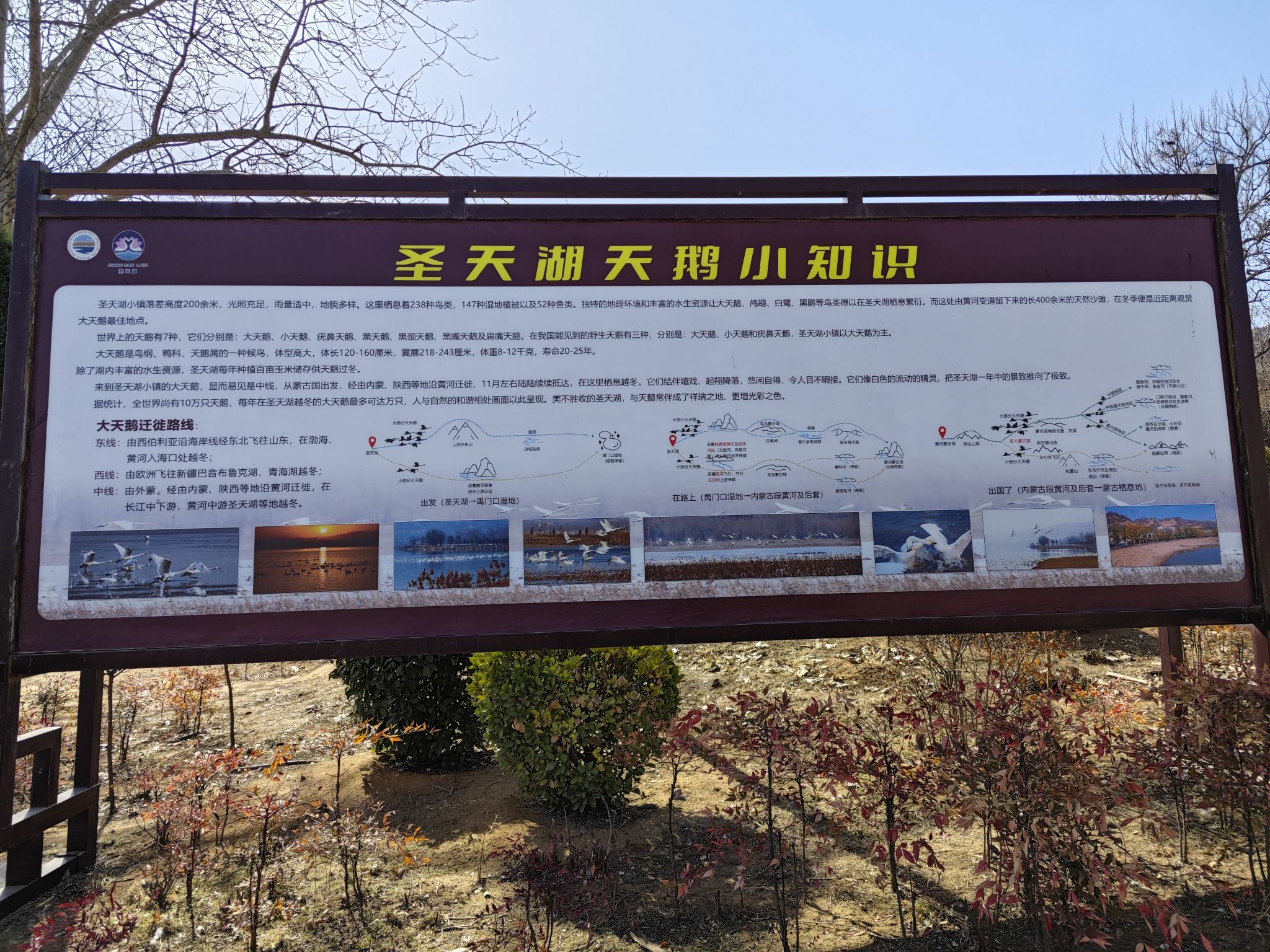 芮城圣天湖景区旅行图片