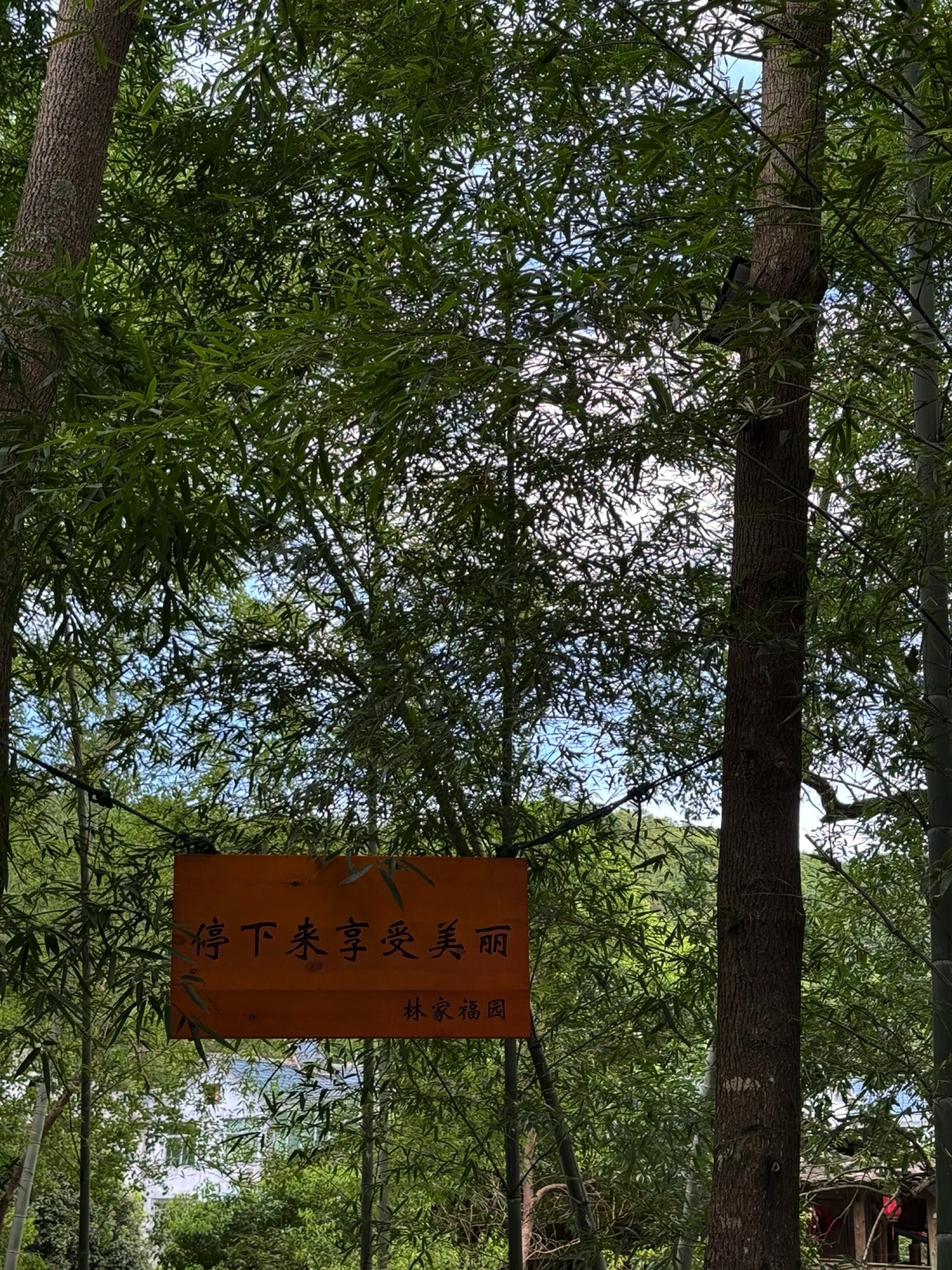高峰漂流