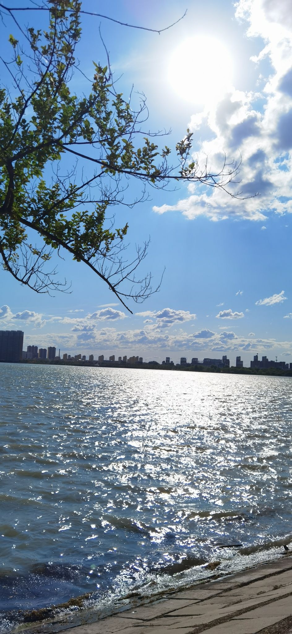 滨洲湖旅行图片