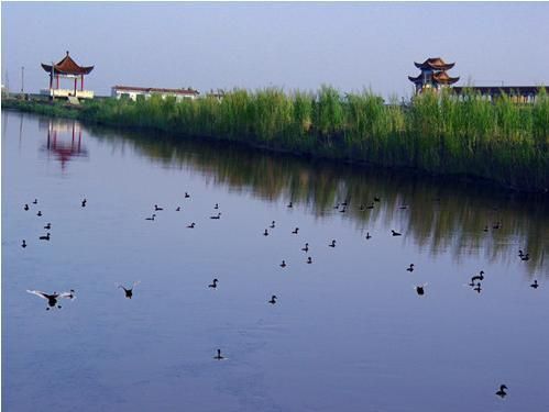 红旗岭千鸟湖旅游度假区(不对外开放)旅行图片