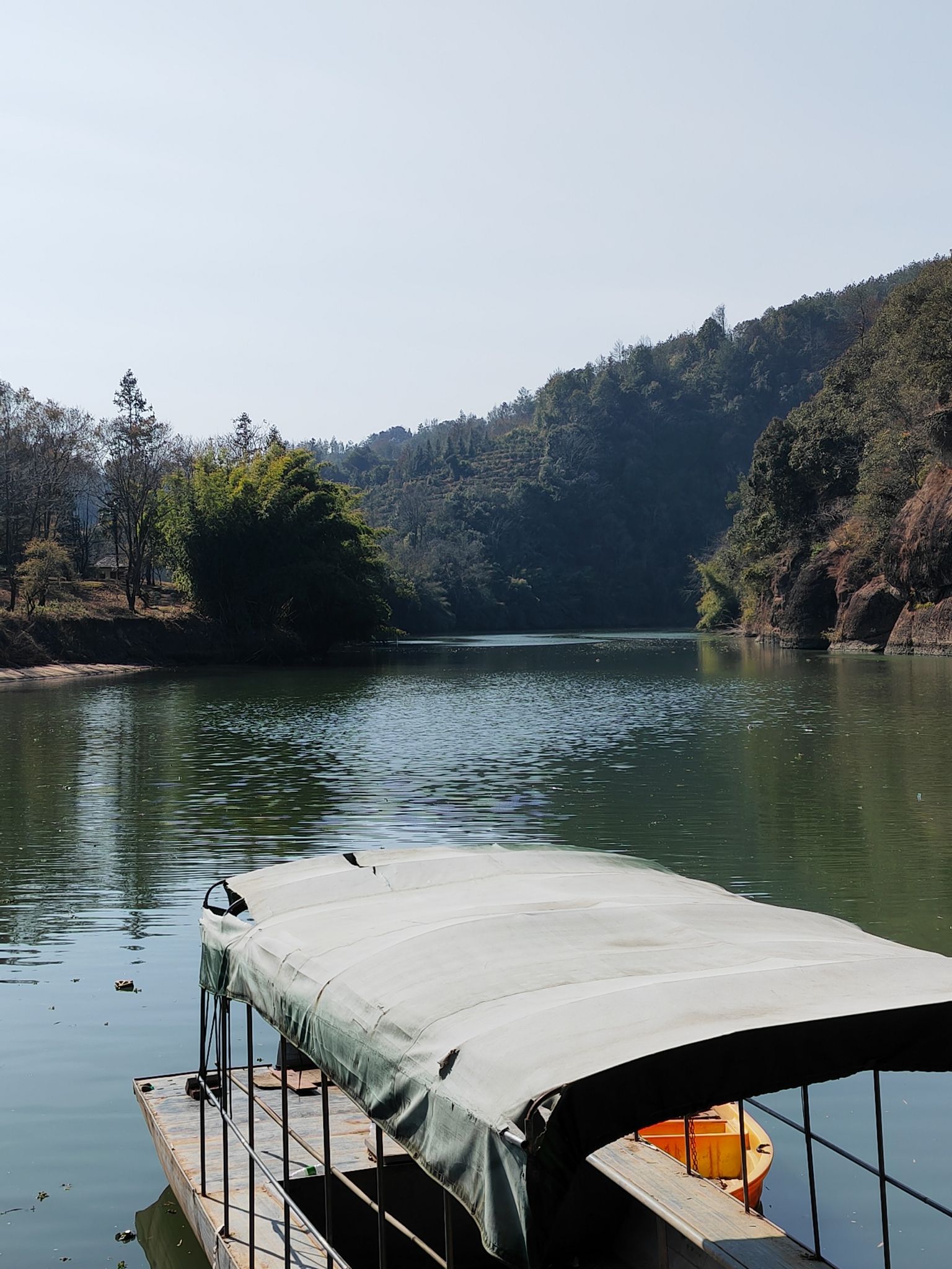 千年古树群风景区旅行图片