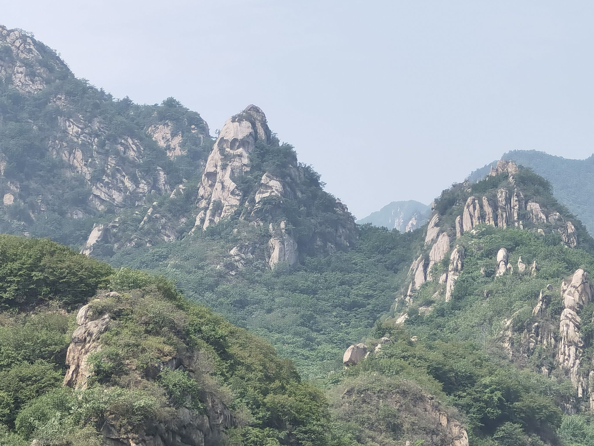 椴树岭