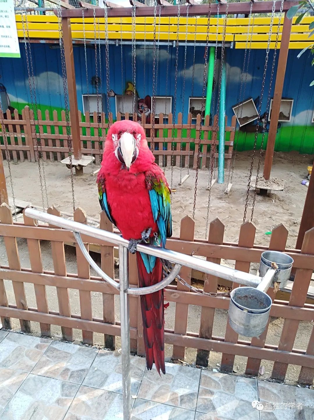 南阳人民公园旅行图片