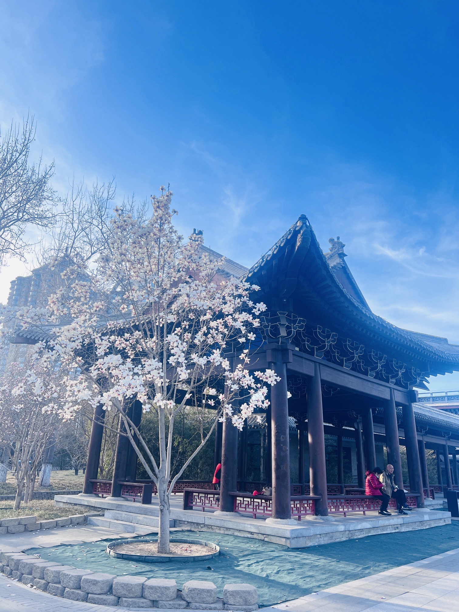 金中都公园