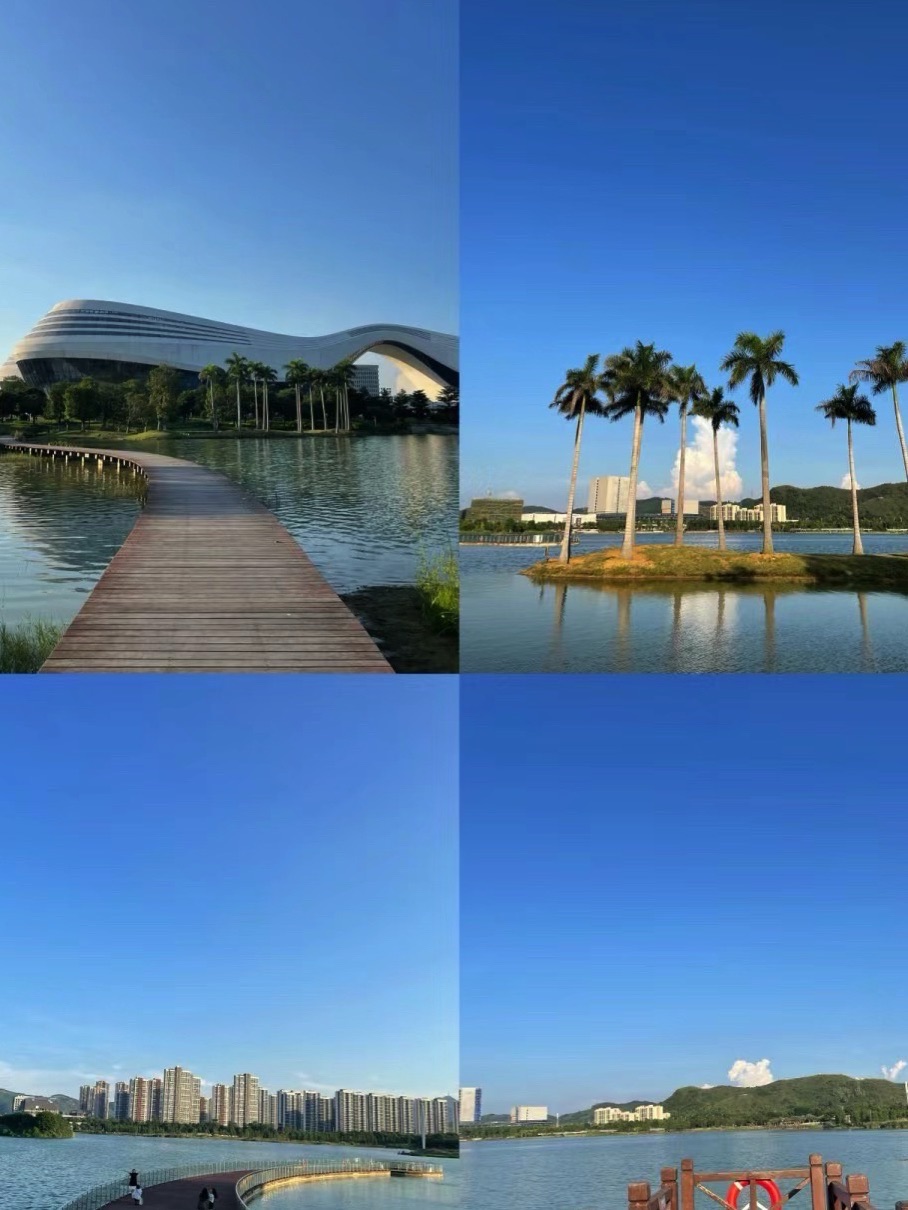 柳东公园