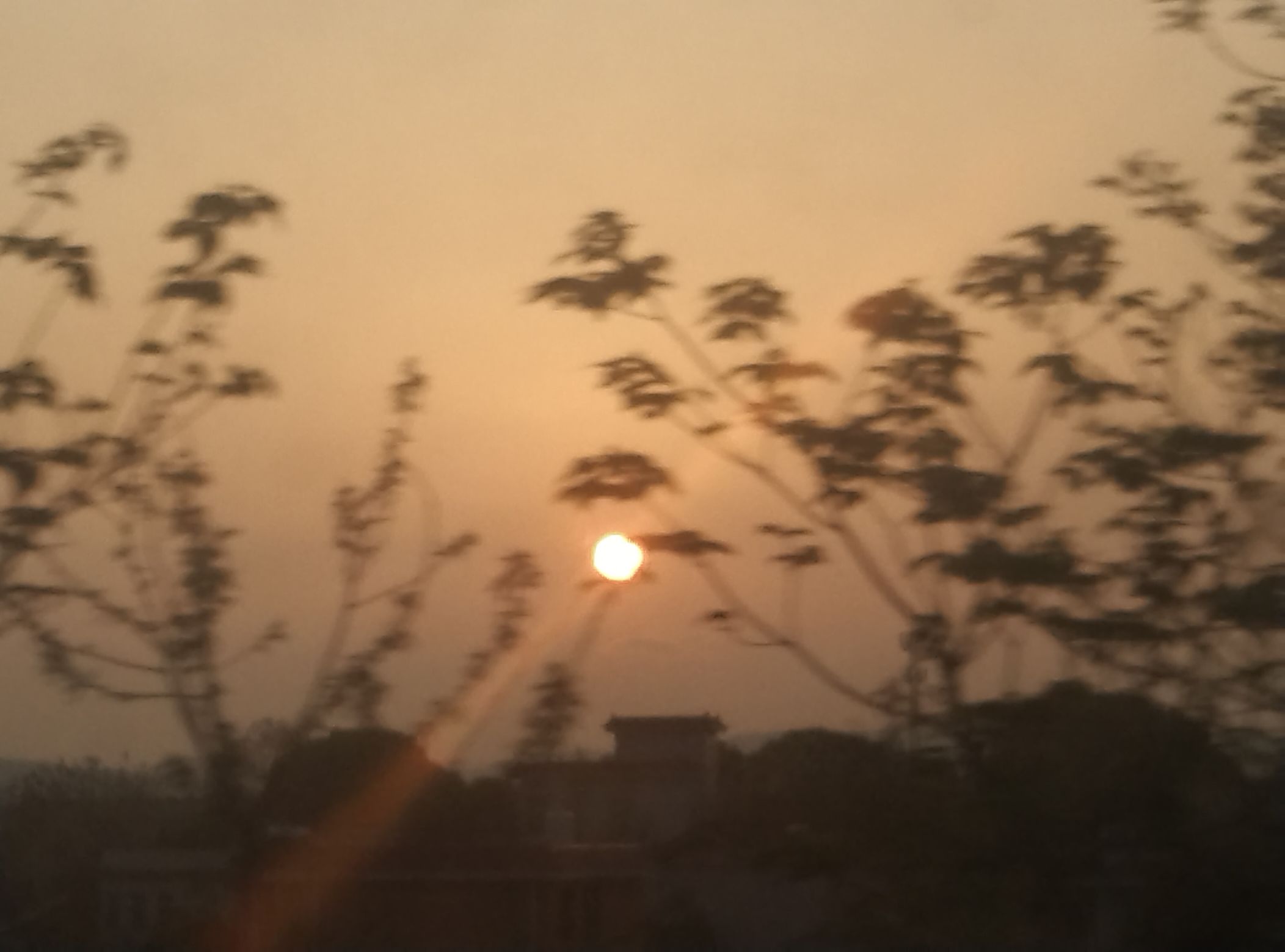 南岭仙