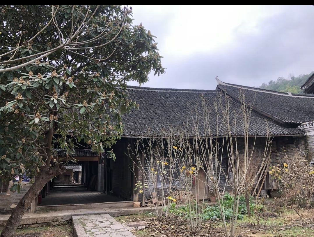 李家大院旅行图片