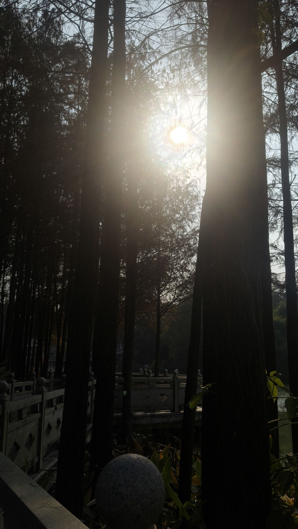 狮山公园