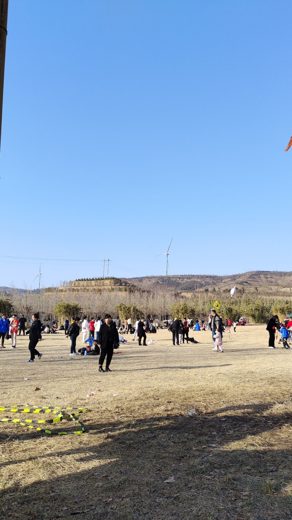 首阳山森林公园旅行图片