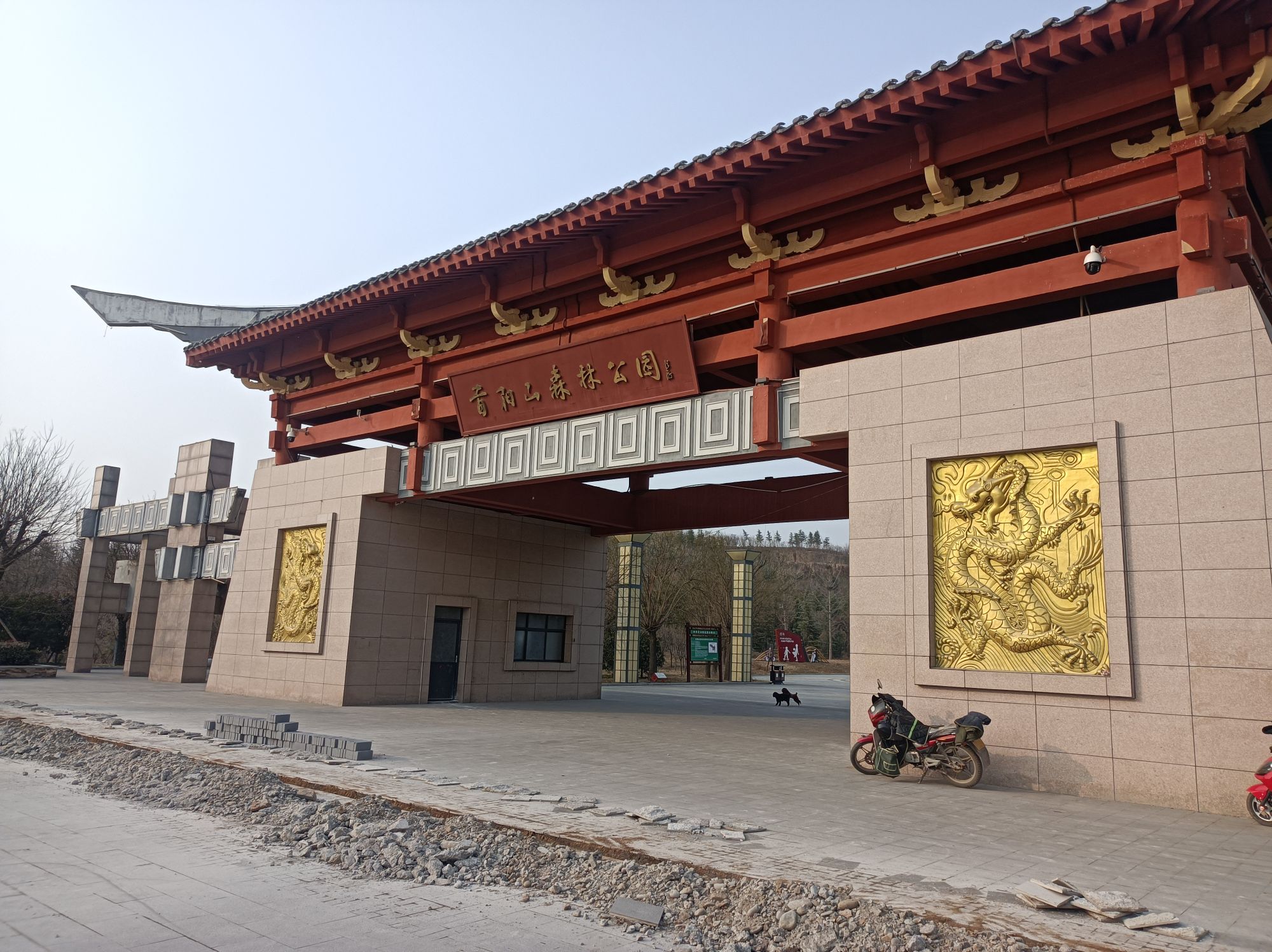 首阳山森林公园旅行图片