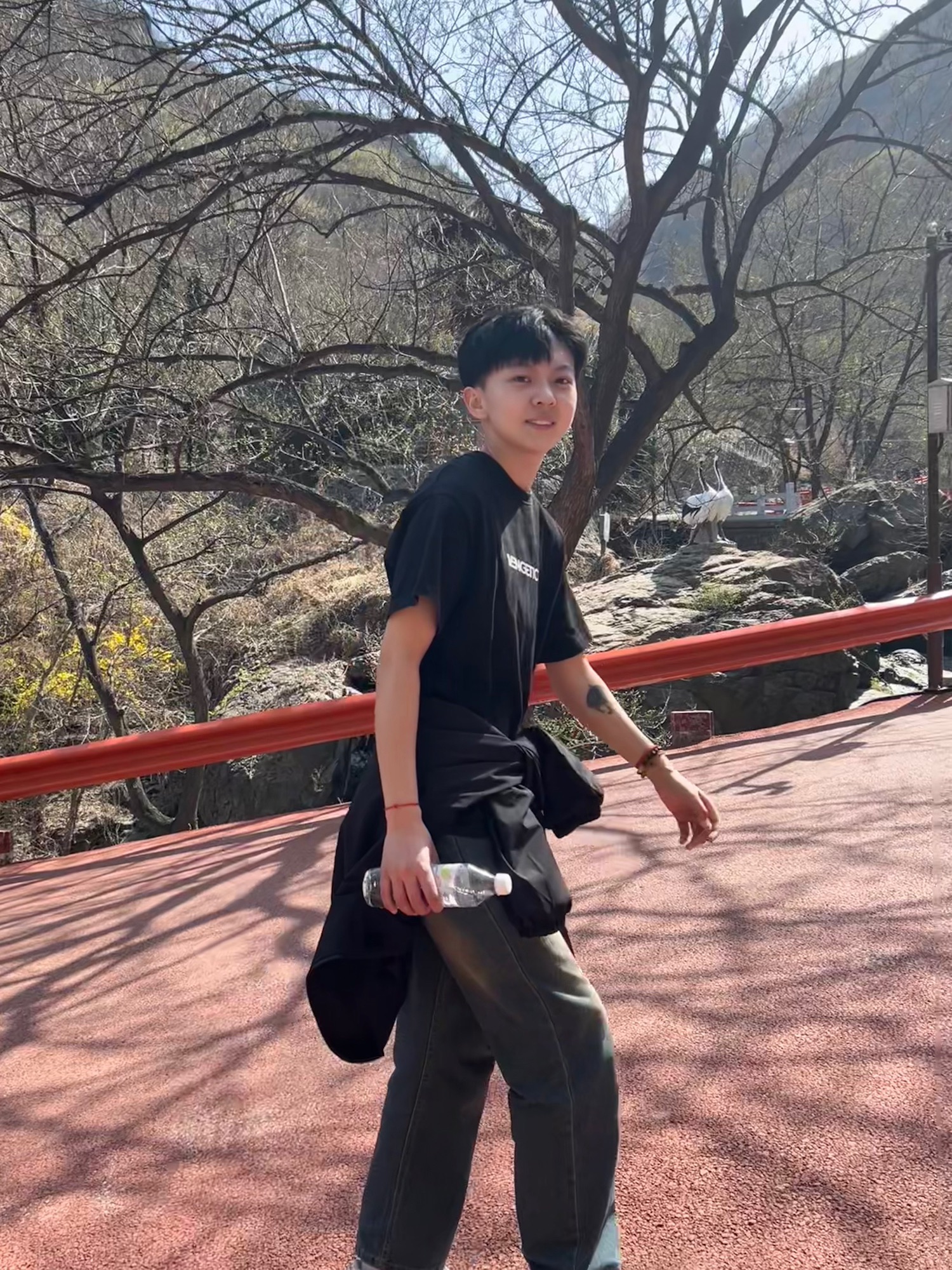 鹤伴山国家森林公园旅行图片
