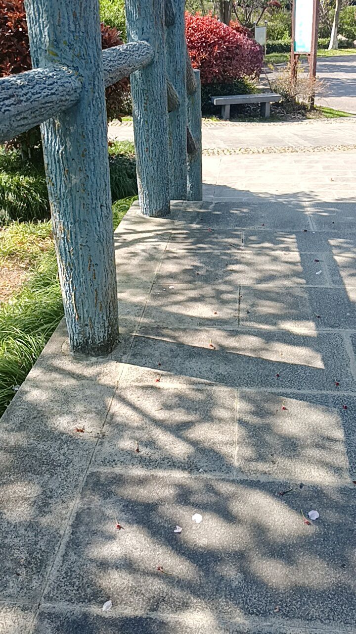 华山公园