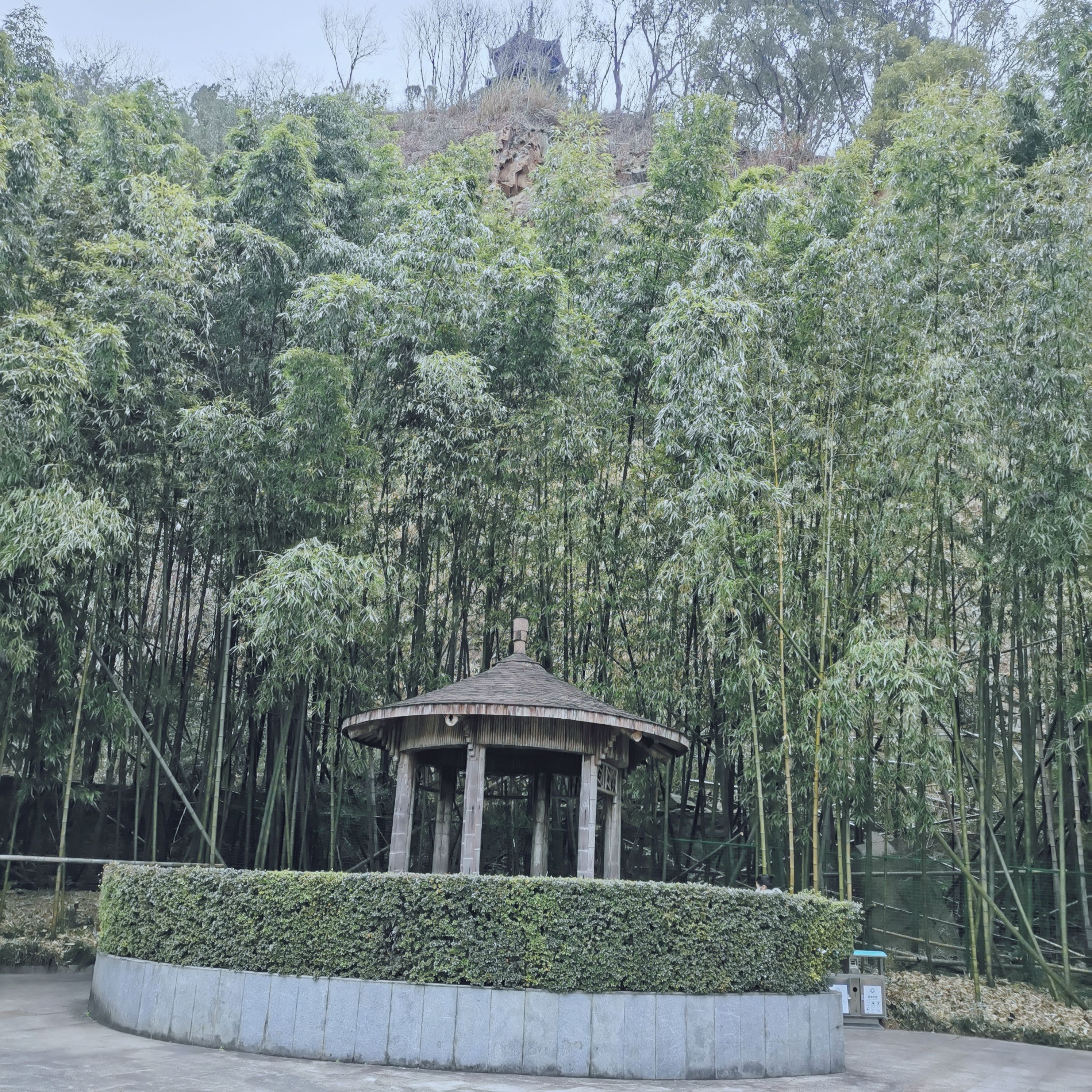 东谷湖健康主题公园旅行图片