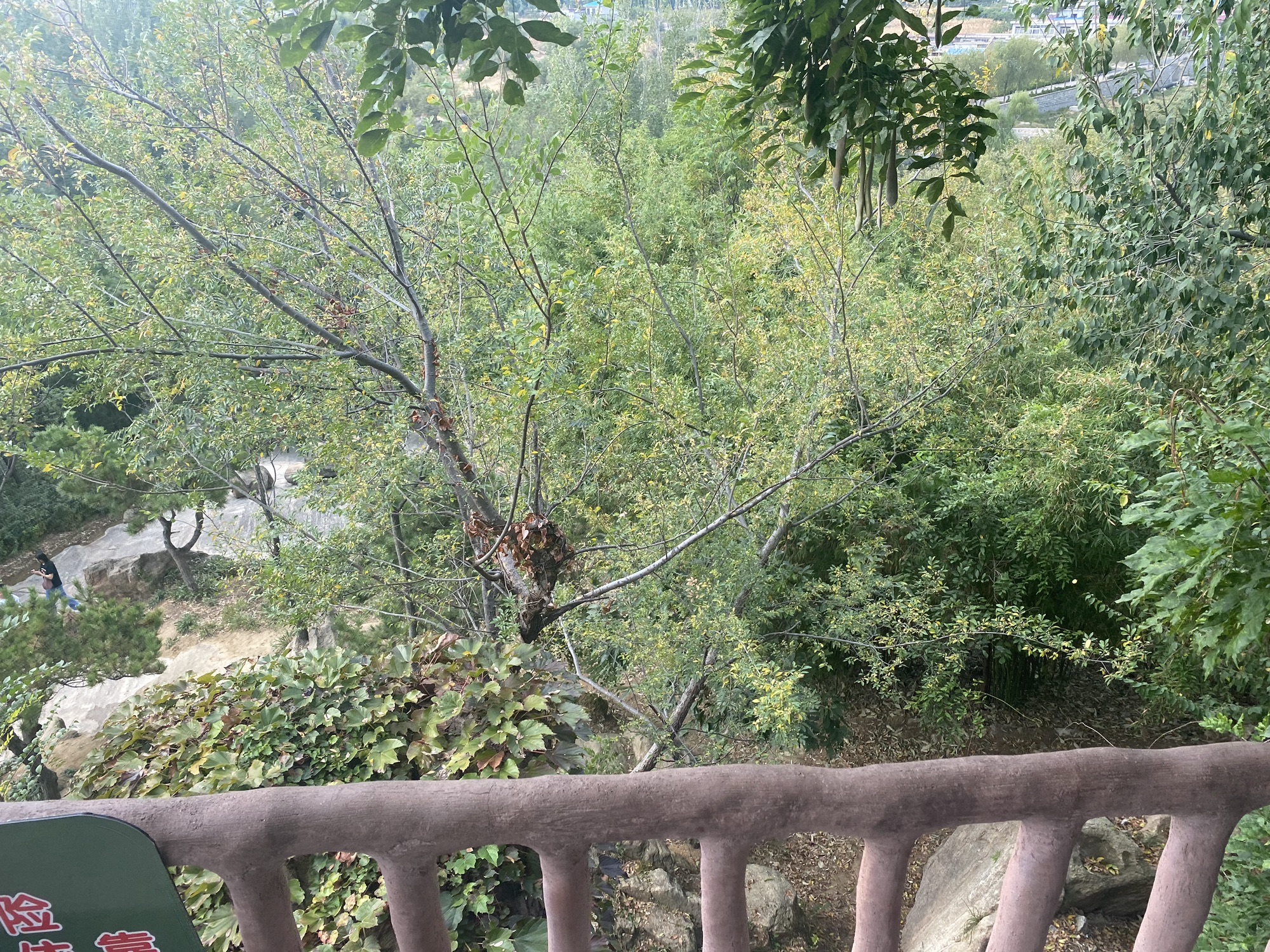 沂蒙云瀑洞天旅行图片
