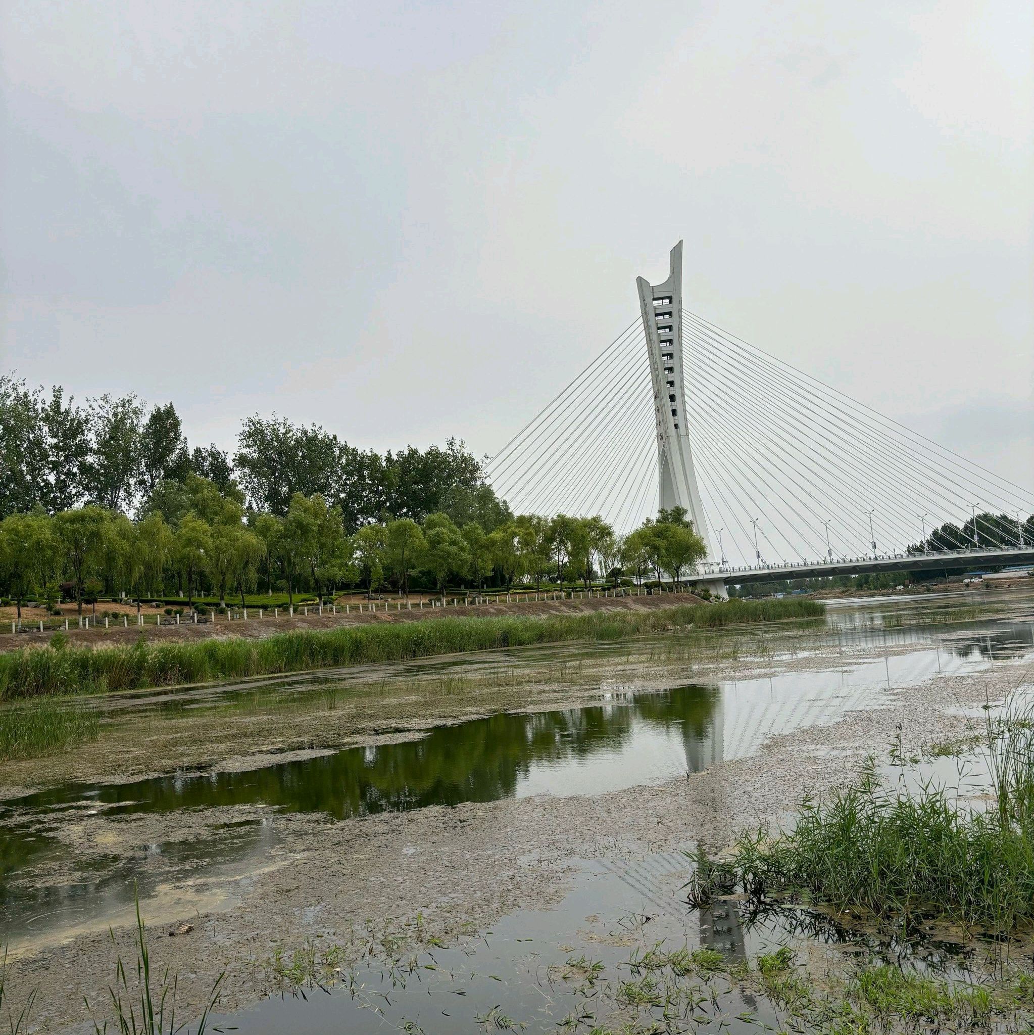 清音公园旅行图片