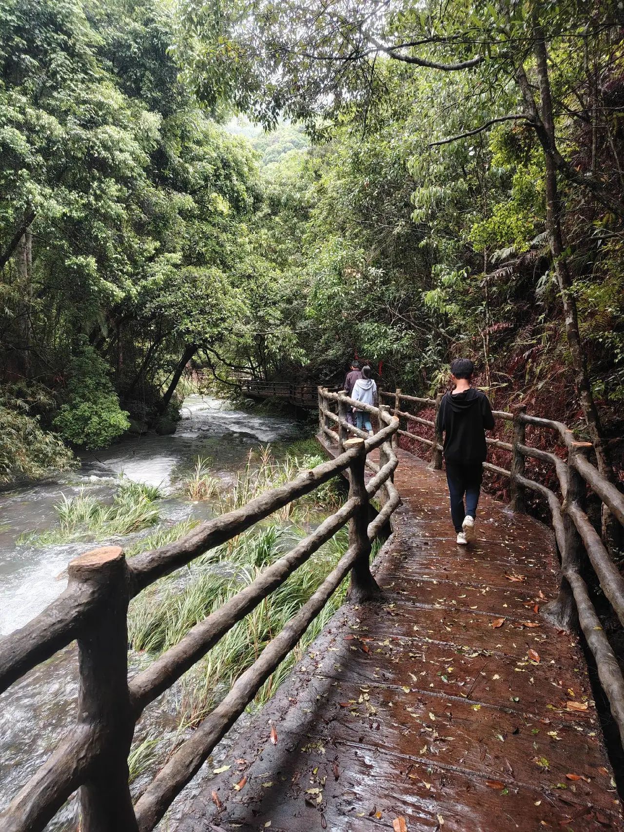 上举相思谷风景区